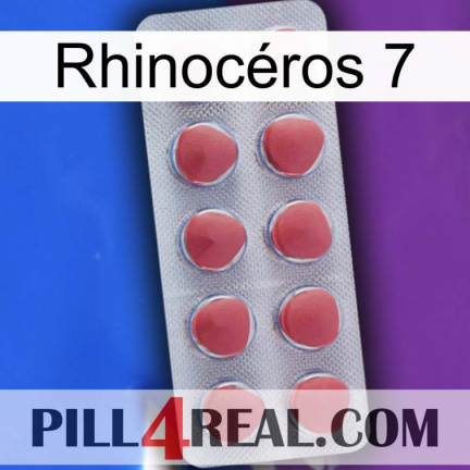 Rhinocéros 7 18